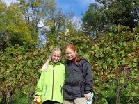 Wümmet 2014  (13)
