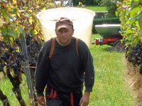 Wümmet 2014  (16)
