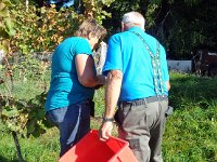 Wümmet 2014  (29)