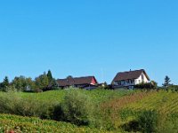 Wümmet 2014  (42)