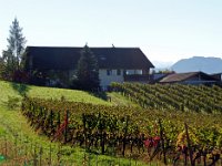 Wümmet 2014  (44)