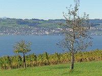 Wümmet 2014  (45)