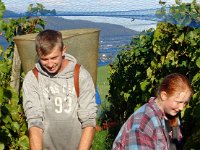 Wümmet 2014  (7)