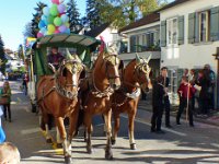Umzug 2015 (107)