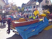 Umzug 2015 (113)