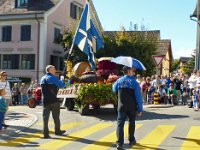 Umzug 2015 (16)