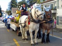 Umzug 2015 (17)