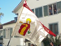 Umzug 2015 (2)