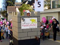 Umzug 2015 (22)