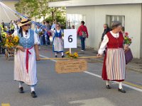 Umzug 2015 (24)