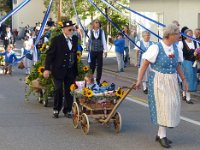Umzug 2015 (25)