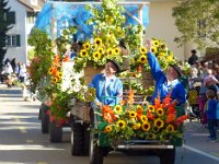 Umzug 2015 (28)