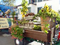 Umzug 2015 (29)