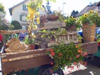Umzug 2015 (30)