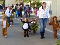 Umzug 2015 (34)