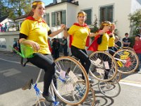 Umzug 2015 (38)