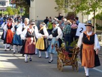 Umzug 2015 (4)