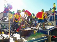 Umzug 2015 (40)