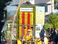 Umzug 2015 (42)