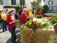Umzug 2015 (43)