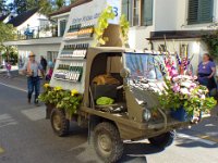 Umzug 2015 (45)