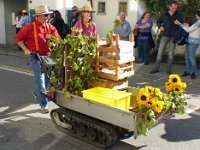 Umzug 2015 (49)