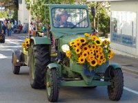 Umzug 2015 (50)