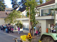 Umzug 2015 (51)