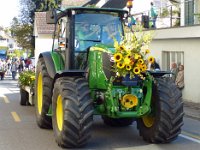 Umzug 2015 (55)