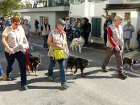 Umzug 2015 (59)