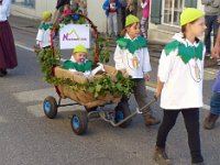 Umzug 2015 (6)