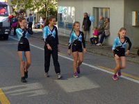 Umzug 2015 (60)