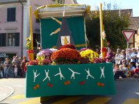 Umzug 2015 (61)