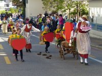 Umzug 2015 (71)