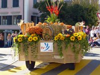 Umzug 2015 (79)