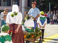 Umzug 2015 (8)
