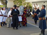 Umzug 2015 (80)