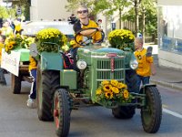 Umzug 2015 (83)