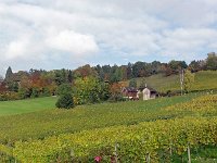 Wümmet 2016 (42)