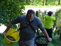 Wümmet 2017 (11)
