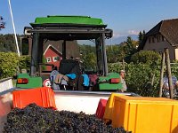 Wümmet 2017 (34)