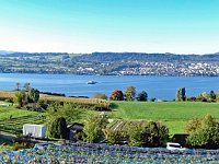 Wümmet 2017 (41)