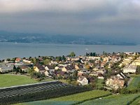 Wümmet 2017 (45)