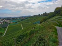 Wümmet 2018 (16)