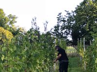 Wümmet 2018 (29)