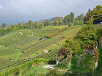 Wümmet 2018 (4)