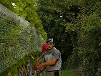 Wümmet 2018 (59)