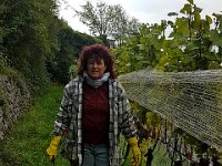 Wümmet 2018 (60)