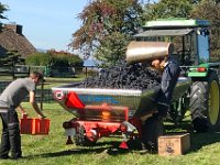 Wümmet 2018 (62)