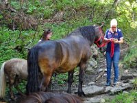 Alp de Roq 2019 (11)